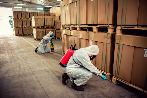 Best Exterminator Services  in Blountsville, AL
