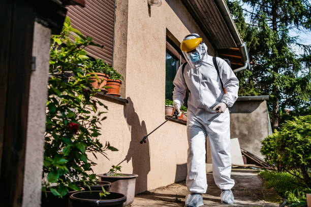 Best Pest Control for Restaurants  in Blountsville, AL