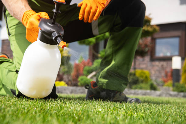 Best Wasp Removal Services  in Blountsville, AL