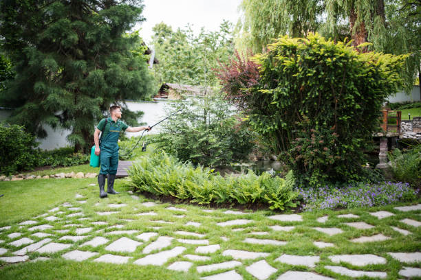 Best Local Pest Control Services  in Blountsville, AL
