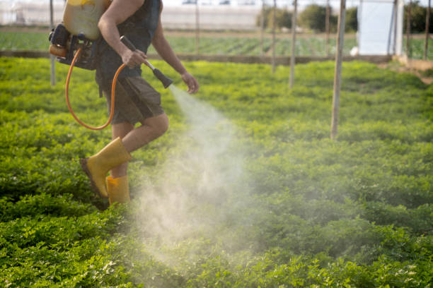 Best Pest Control for Homes  in Blountsville, AL