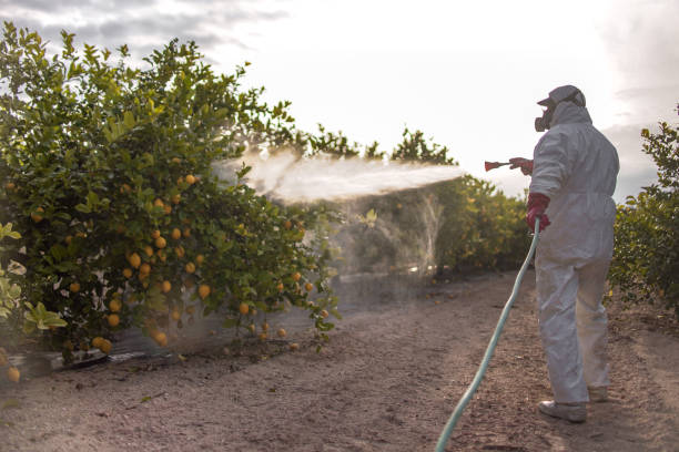 Best Exterminator Services  in Blountsville, AL
