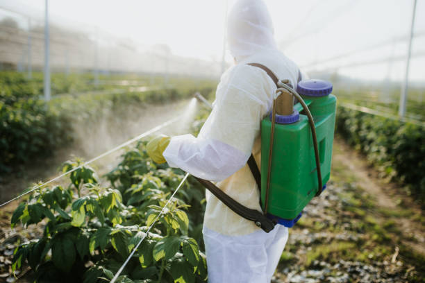 Best Pest Control Near Me  in Blountsville, AL